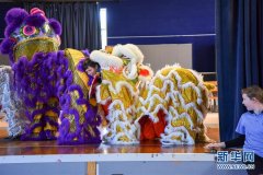 新西兰一中学举办“发现中国日”活动